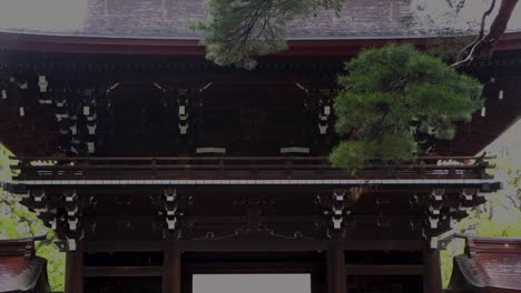 東京最美麗的景色