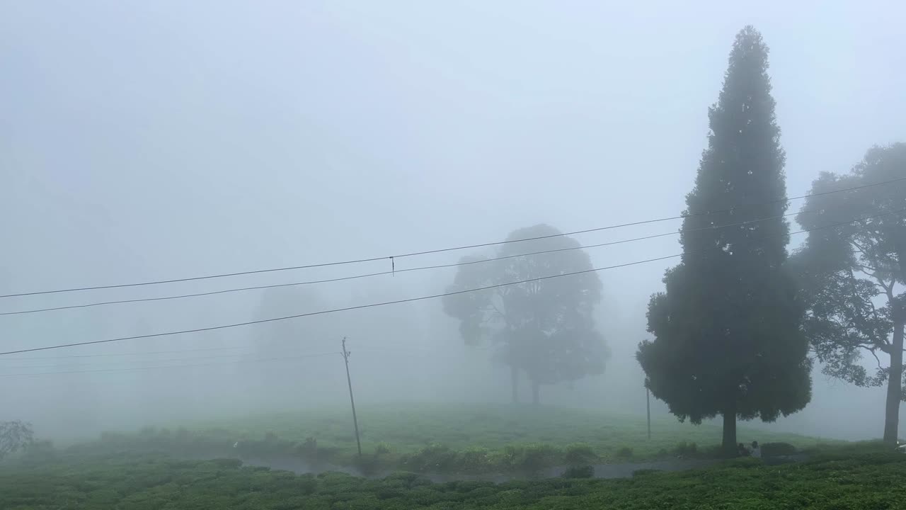 Op een regenachtige dag in de heuvelachtige streken is de omgeving gehuld in mist