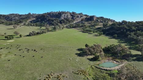 aerial over a dam and cattle and approaching the rocky slopes of mt teneriffe in victoria