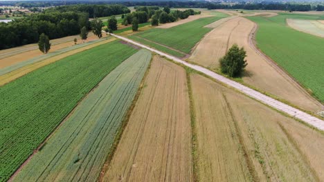 fertile land of grain and vegetable crops in august harvest time, aerial view