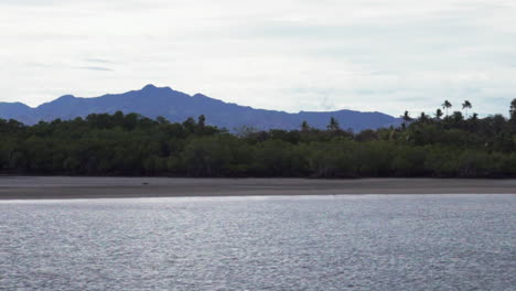 Bootsfahrt-Nadi-Nausori-Hochland-Tourismus-Fidschi-Suva-Garteninsel-Taveuni-Morgen-Berggipfel-Tropische-Insel-Palme-Kokosnussbaum-Morgen-Bewölkt-Blauer-Himmel-Ruhige-Bucht-Ufer-Korallenküste-Statisch