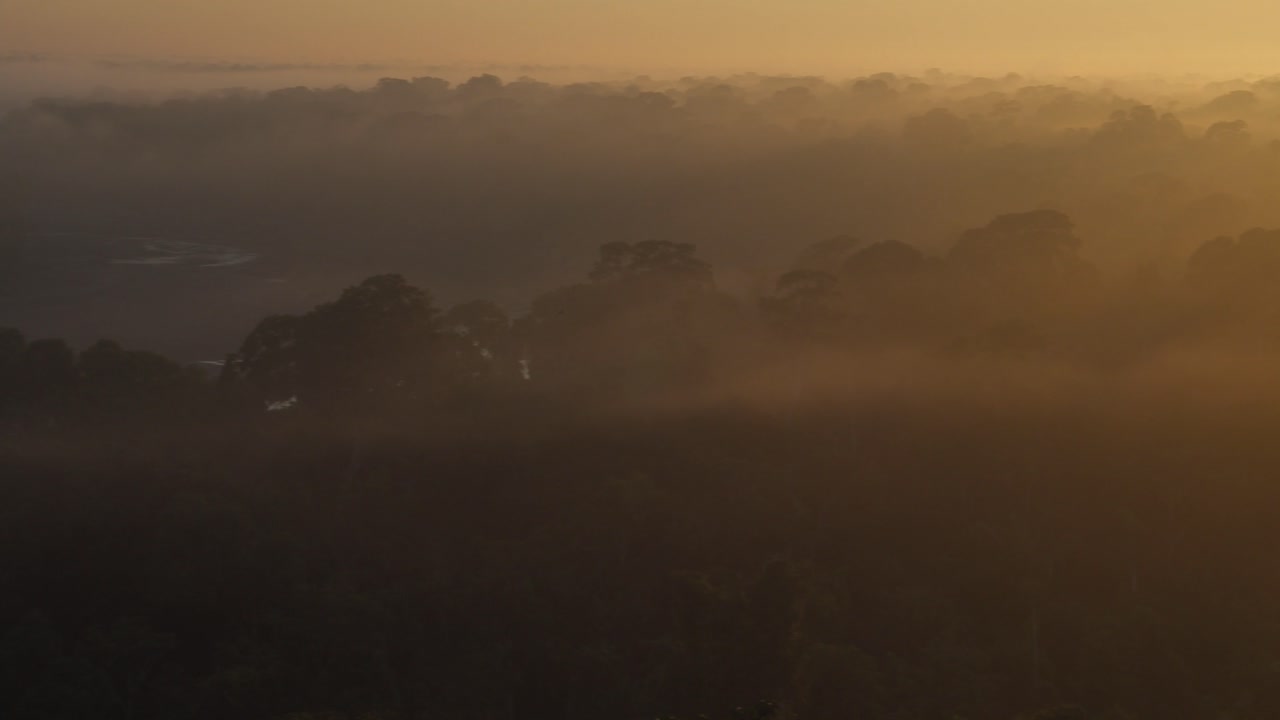 A panoramic pan shot of mystical sunrise over a the top of a misty tropical rainforest, with sun flares