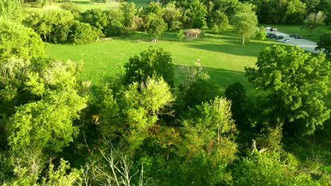 arial drone view with people having fan activity in the park at sunset on summer day