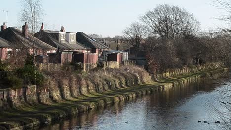 viewing birds on canal from bridge