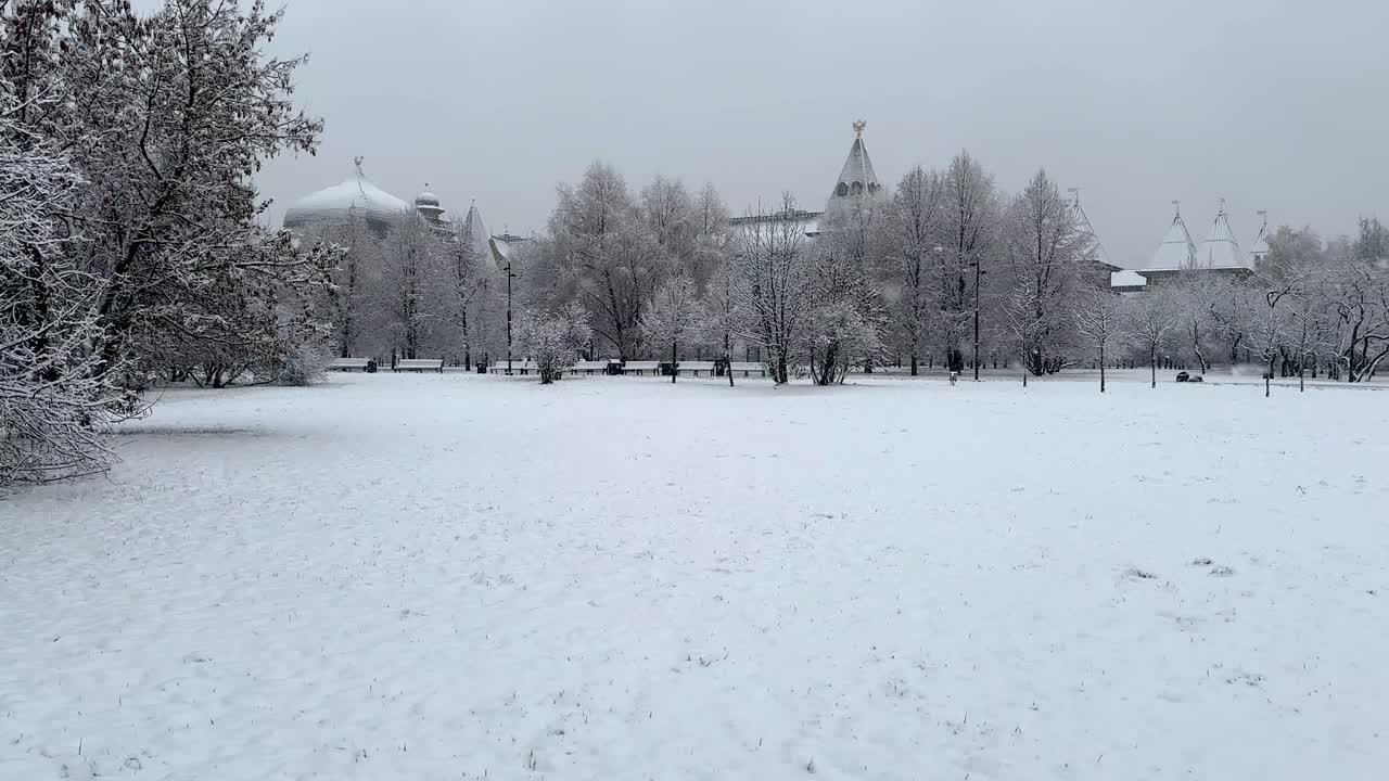 Walking in the first snow