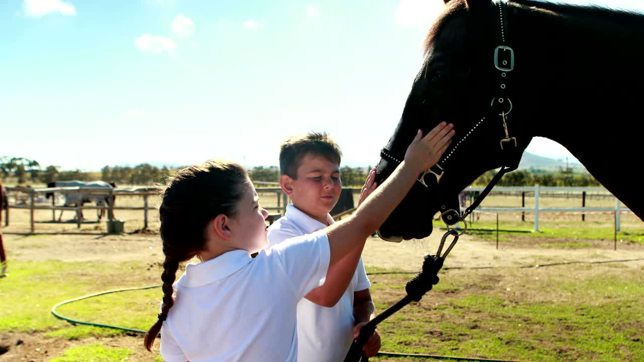 hermanos acariciando el caballo en el rancho 4k