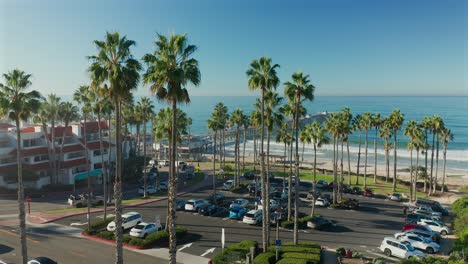 rising aerial view of the san clemente pier over tall palm trees