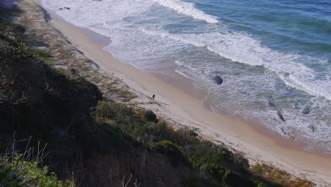 Man-Walking-On-The-Sand-At-The-Town-Beach---Port-Macquarie,-NSW,-Australia---aerial-static-shot