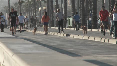 pedestrians exercising near santa monica california