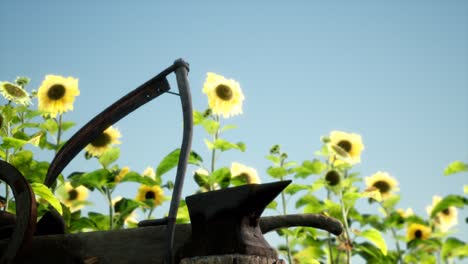 Antiguo-Campo-De-Guadaña-Y-Girasol-De-Estilo-Vintage