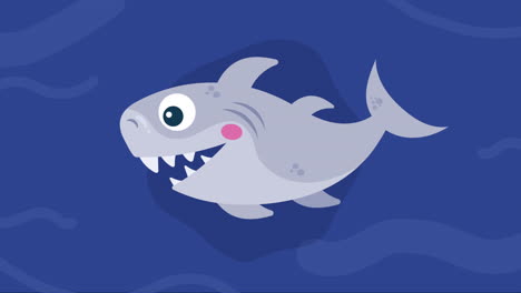 cute shark swiming sealife animation