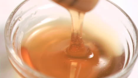 honey in a bowl in super slow motion