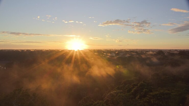 Amanecer brillante mientras la niebla se eleva lentamente de la selva de Tambopata. Panorámica lenta a la derecha.