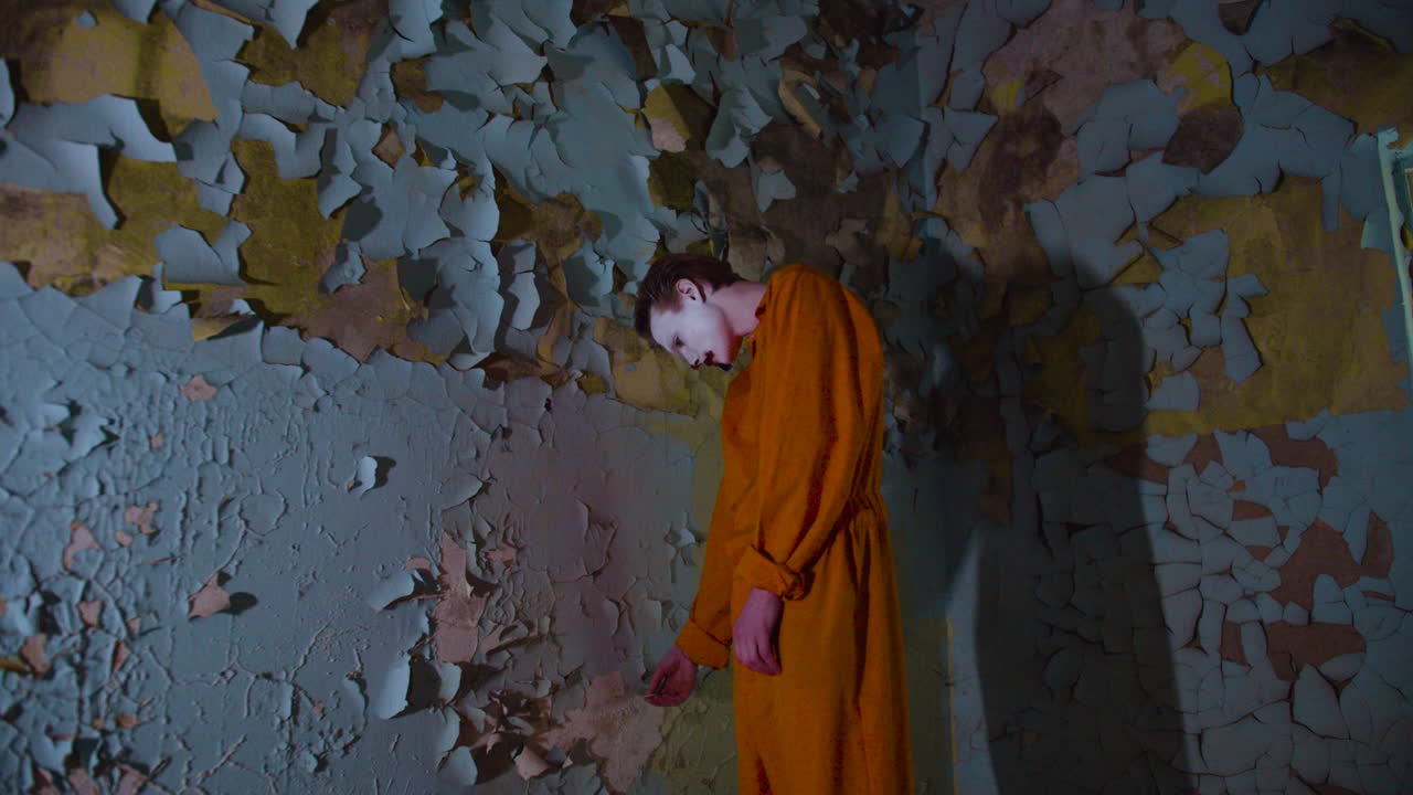 버려진 집에서 무서운 조롱거리