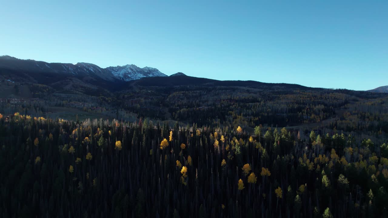 Ripresa con drone che panoramica a sinistra su una cima alberata a Telluride, CO, in autunno.