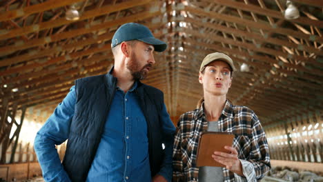 caucasian young man and woman farmers walking and talking in stable with sheep flock