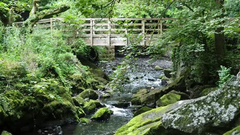 Descending-slow-motion-over-woodland-forest-wooden-bridge-crossing-scenic-rocky-stream