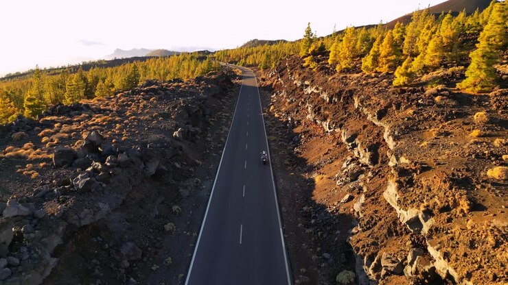 A motorcyclist cruises through the scenic high-altitude roads of Tenerife, cutting through vibrant pine forests under golden sunset light. A dream ride above the clouds.