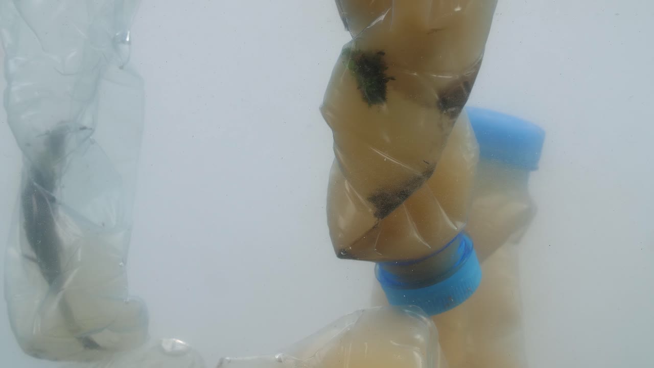 imágenes submarinas del problema de la contaminación por plásticos en el océano