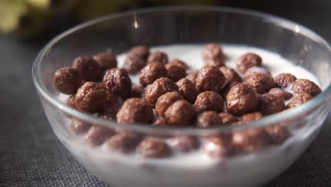 chocolate cereal in milk