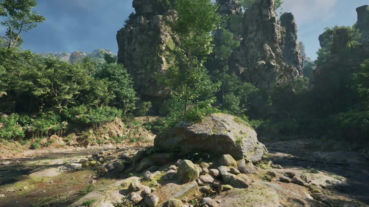 아름다운 정글 풍경