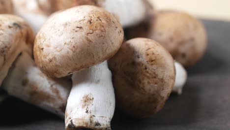 close up of brown mushrooms