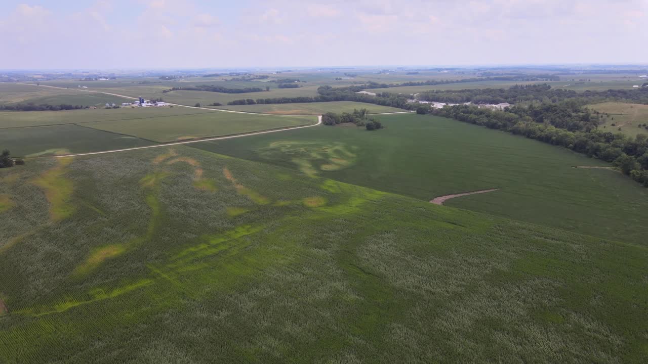 Aerial Drone Video Wind Damage To Rural, Agrarian Agricultural Crops And Farmland In The Midwest Heartland Of Iowa