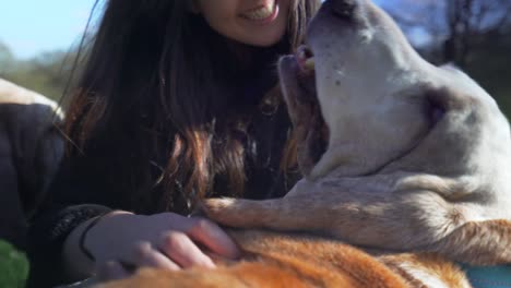 Attractive-woman-stroking-her-dog-lovingly-in-a-park