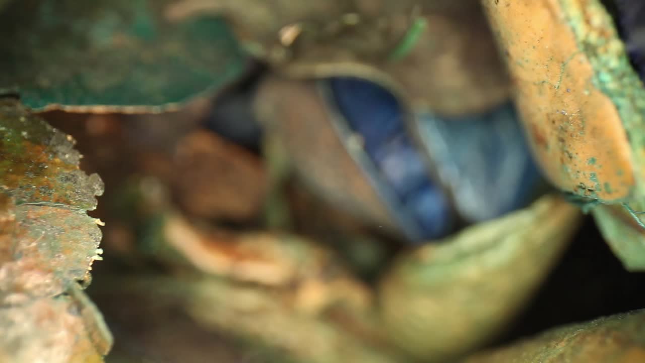 enfoque estrecho en los bordes de coloridas piezas de popurrí en cascada que se mueven fuera del jarrón, usando una lente de sonda de gran angular, obteniendo perspectivas únicas