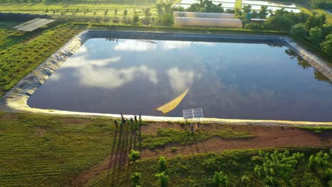fish farmers netting their fish in africa