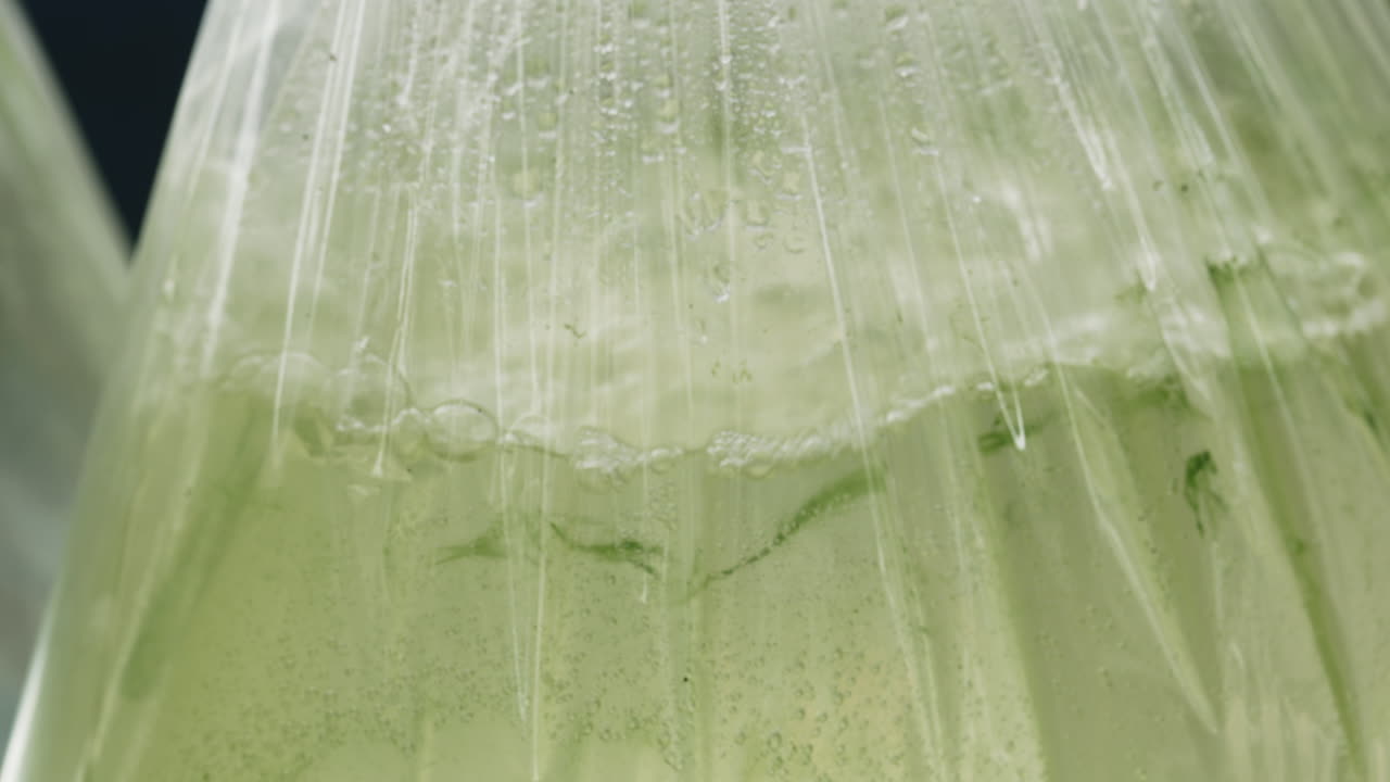 Iced Green Drink in a Plastic Bag