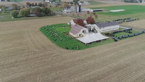 ariel vista di un matrimonio amish in una giornata autunnale con passeggini, un amish che gioca a pallavolo visto da un drone