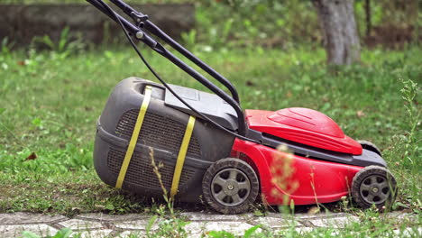 modern technology of cutting grass in the garden. red lawn mower cutting grass in the backyard. corded electric lawn machine outdoors.