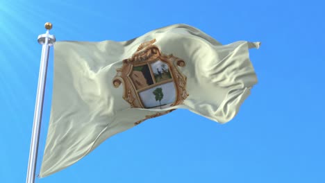 Manaus flag, Amazonas, Brazil. Loop