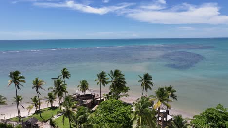 Palmenstrand-In-Porto-Seguro,-Bahia,-Brasilien