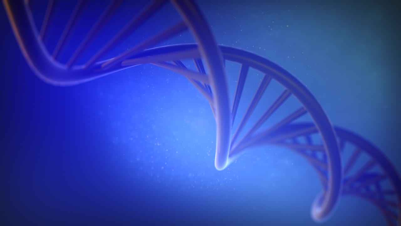 DNA Rotating Double Helix Loop