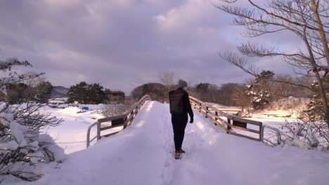 male hiker walking through stunning snowy landscape