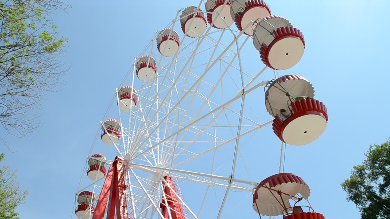 Ferris in spring park