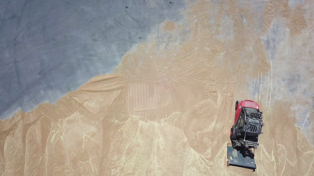 농업 환경에서 수확된 밀 4k를 수집하는 빨간색 지게차에 대한 조감도 또는 하향식 보기