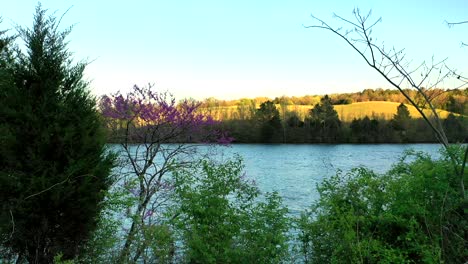 sunset on a lake in oakridge tennessee