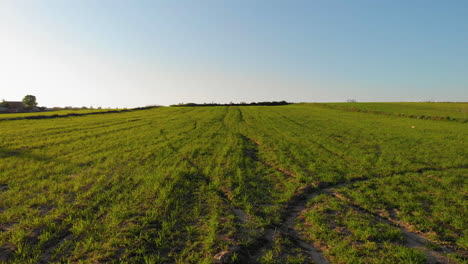 Flying-over-the-green-field