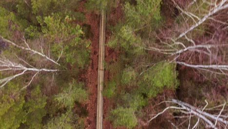 Nature's-Beauty-in-Autumn-A-Drone's-Perspective-of-a-Wooden-Path-Hike