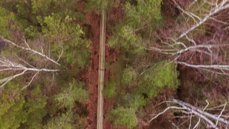 la belleza de la naturaleza en otoño la perspectiva de un dron de una caminata por un sendero de madera