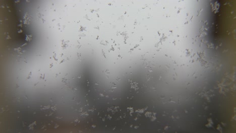 nieve en la macro de primer plano de la ventana