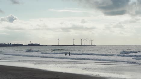 Varios-Niños-Con-Siluetas-Jugando-En-Olas-Mientras-Las-Turbinas-De-Viento-Giran-En-La-Distancia,-Costa-Belga,-Mar-Del-Norte