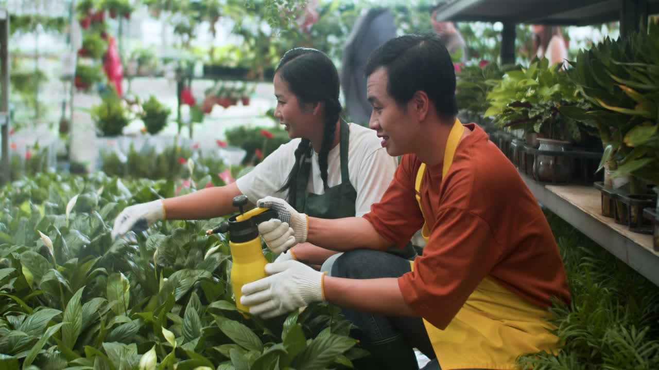 실내에서 일하는 정원사