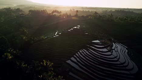a medida que el sol sale sobre la impresionante terraza de arroz de bali, la luz dorada de la mañana baila en las tranquilas superficies del agua, creando fascinantes reflejos tanto del cielo vibrante como de los exuberantes campos de arroz verdes