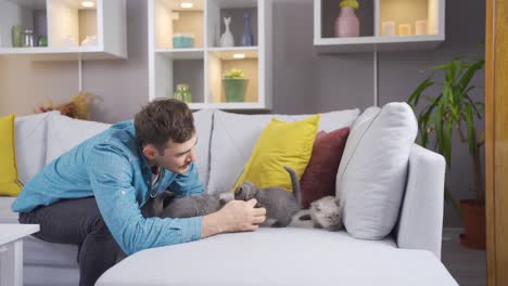 котята играют со своими хозяевами дома.