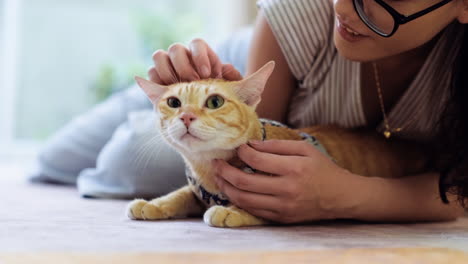 woman petting a cat