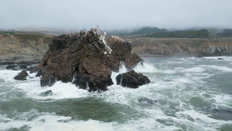 orbiting around arched rock covered in birds as waves crash in the pacfic ocean, slow motion of waves crashing on arched rock as sea birds land, sonoma county bodega bay along ca
